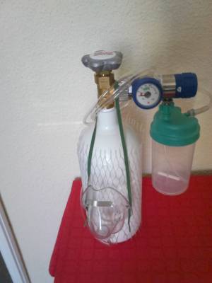 Imagine 1 Kit Oxigenoterapie cu butelie 2L Imagine 1 Kit Oxigenoterapie cu butelie 2L